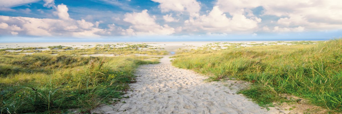 Strand auf Langeoog: endlose Dünen, Meer, Entspannung