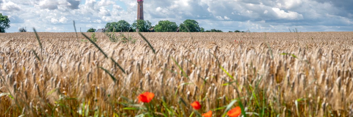 Leuchtturm von Flügge auf Fehmarn