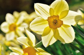 &copy; photo 5000 - Fotolia.com