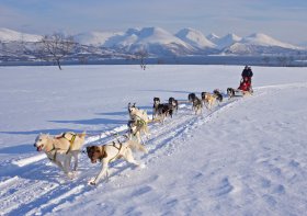 &copy; Bard Zwiebel / www.nordnorge.com / Tromsø 