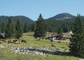 &copy; Tourist-Info Reit im Winkl