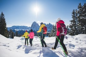 &copy; DOLOMITESValGardena