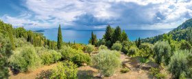 &copy; Nick Brundle - stock.adobe.com