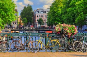 &copy; dennisvdwater - stock.adobe.com