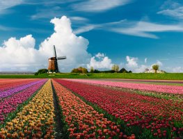 &copy; iStock/JacobH