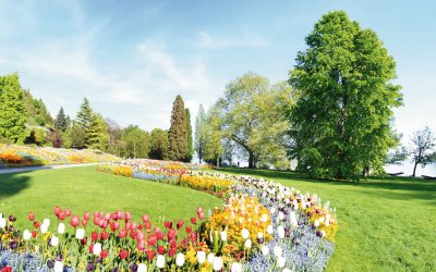 Insel Mainau © Naturestock - stock.adobe.com