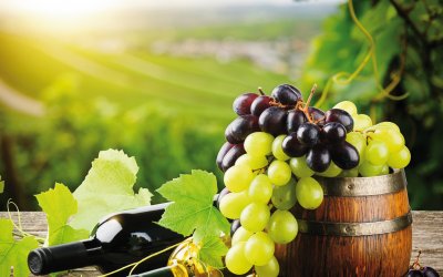 Weinfass mit Trauben © Grecaud Paul -fotolia.com