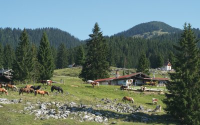 Winklmoosalm © Tourist-Info Reit im Winkl
