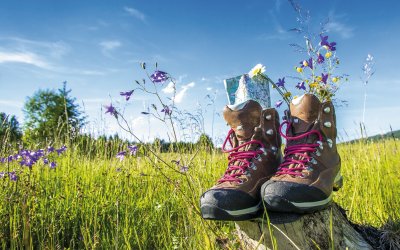 Wandern im Grünen © bietau-fotolia.com