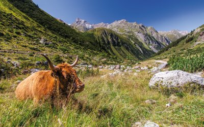 Landschaft im Pitztal © ©TVB Pitztal / Chris Walch Breonix Foto+Design