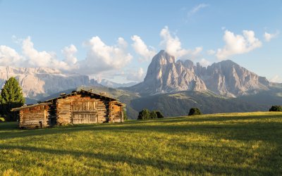 Blick auf den Langkofel © valgardena.it