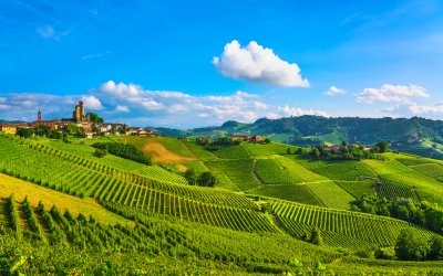 Weinberge in Serralunga d'Alba © stevanzz-fotolia.com