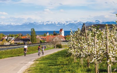 Radfahren am Bodensee © Jan Schuler - stock.adobe.com