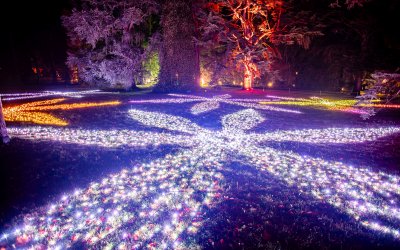 © ©Christmas Garden_Rainer Keuenhof