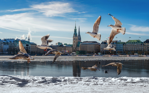 Elbphilharmonie in Hamburg