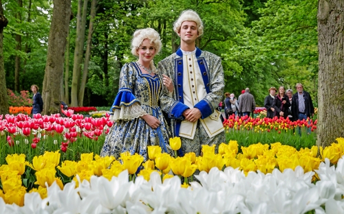 Holland zur Tulpenblüte