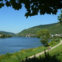 Radweg an der Mosel - ©Fotolyse - stock.adobe.com