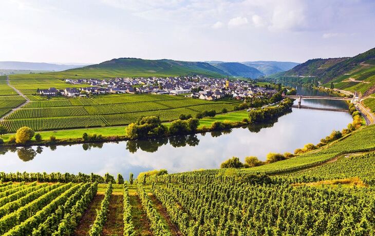 Mosel mit Weinbergen