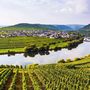 Mosel mit Weinbergen - © Jörg Hackemann - Fotolia