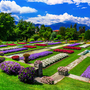 Villa Taranto: Botanischer Garten in Verbania, Italien - ©ianrichard - stock.adobe.com