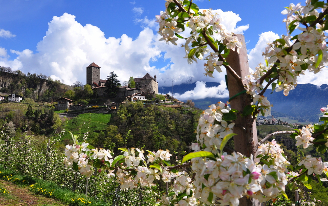 Schloss Tirol im Frühling