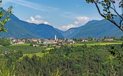 Blütenzauber in Südtirol