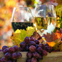 Genuss in der Pfalz: Weinprobe im Herbst, Rotwein, Weißwein,Weinglas und Trauben im Weinberg - ©doris oberfrank-list - stock.adobe.com