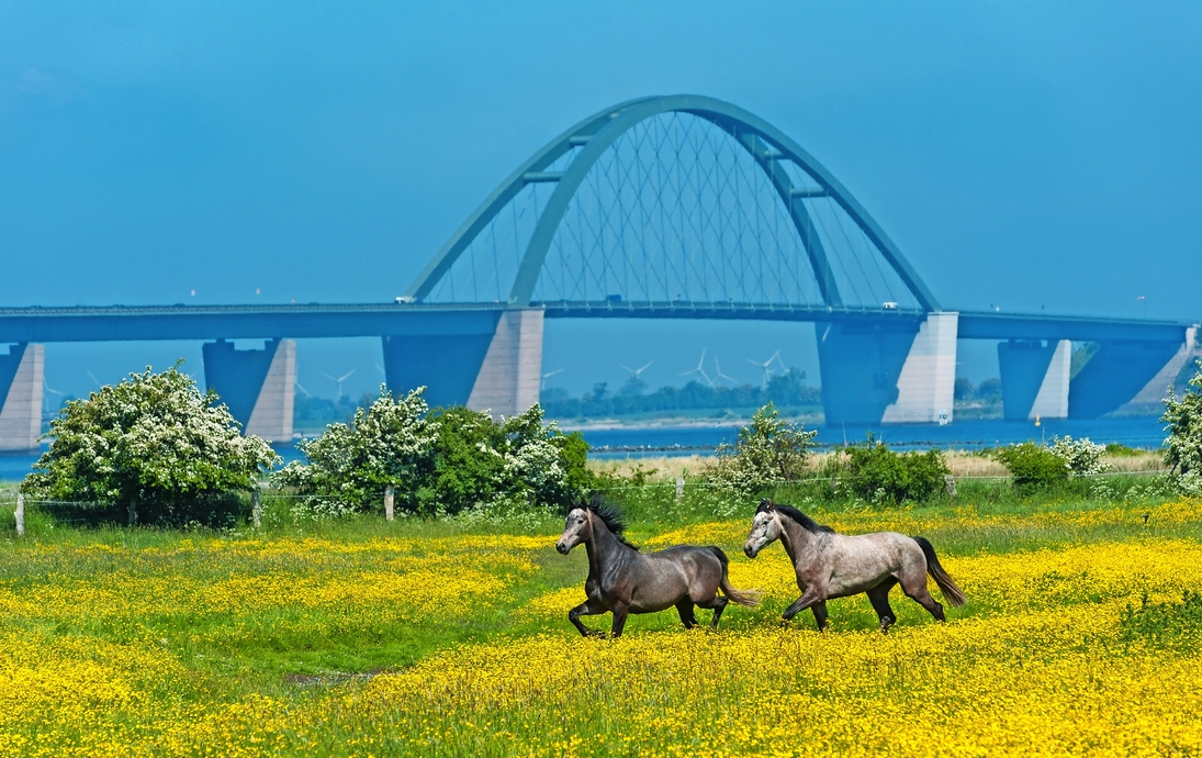 Fehmarnsundbrücke