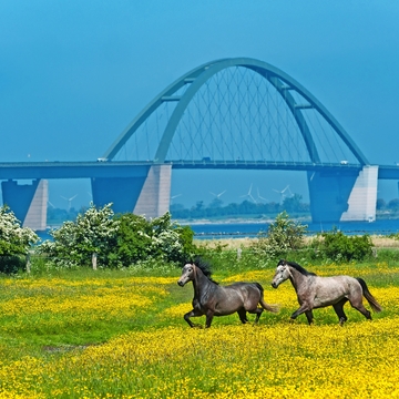 Fehmarnsundbrücke - © Jürgen Wackenhut - stock.adobe.com