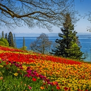 Insel Mainau im Bodensee, Deutschland