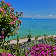 Insel Mainau - © Susanne - stock.adobe.com