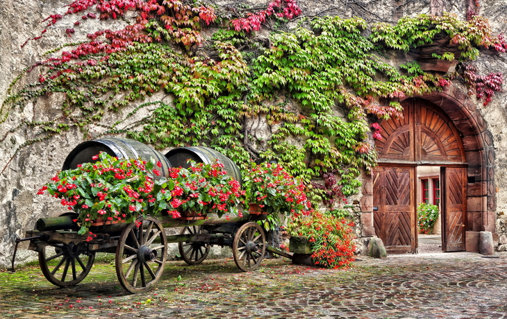 Weinregion Elsass
