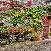 Weinregion Elsass