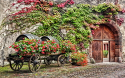 Weinregion Elsass