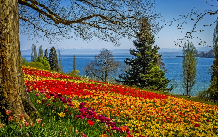 Insel Mainau im Bodensee, Deutschland