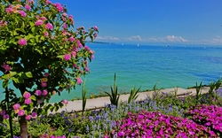 Insel Mainau