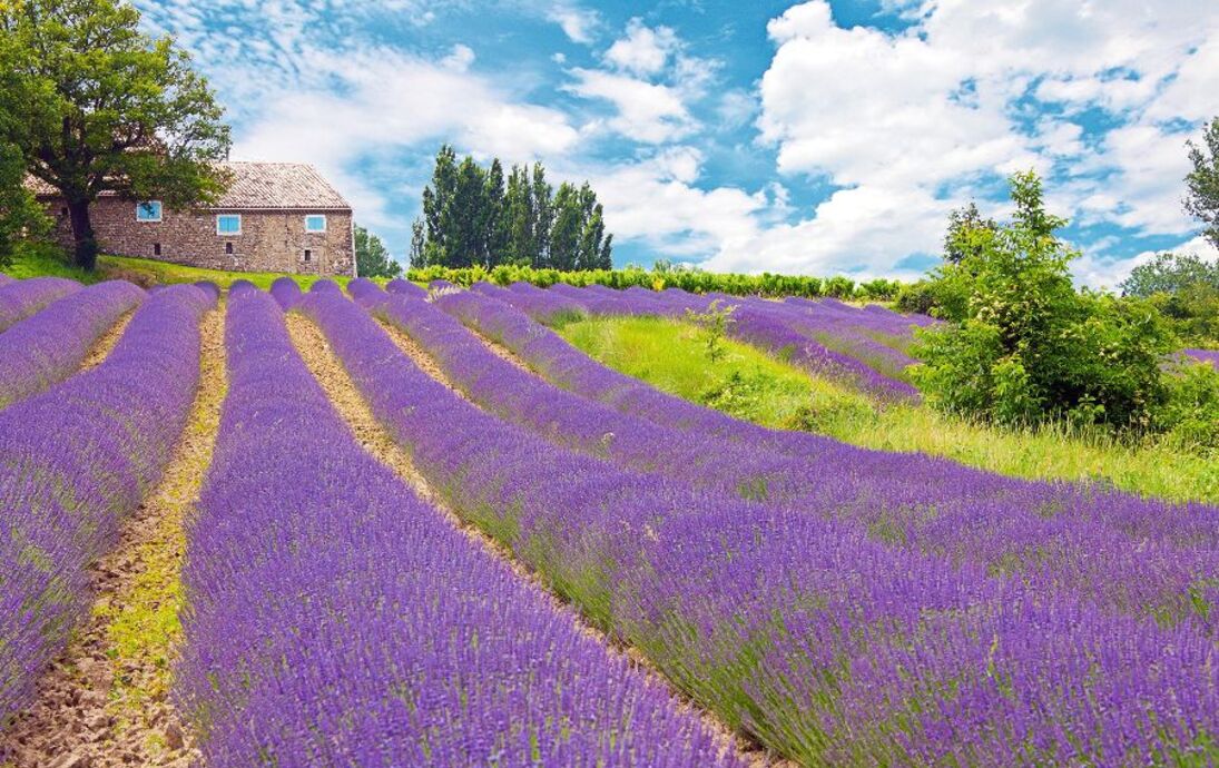 Provence