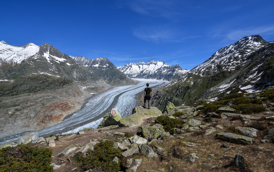 Blick auf den Aletschgletscher bei Bettmeralp in den Schweizer Alpen an einem sonnigen Tag