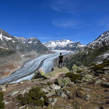Blick auf den Aletschgletscher bei Bettmeralp in den Schweizer Alpen an einem sonnigen Tag - © Asvolas - stock.adobe.com