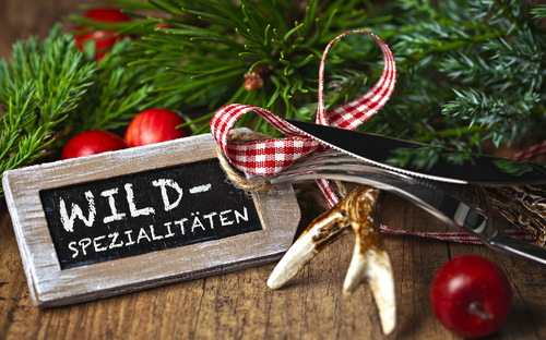 Das Wild(e) Schiff Breisach 