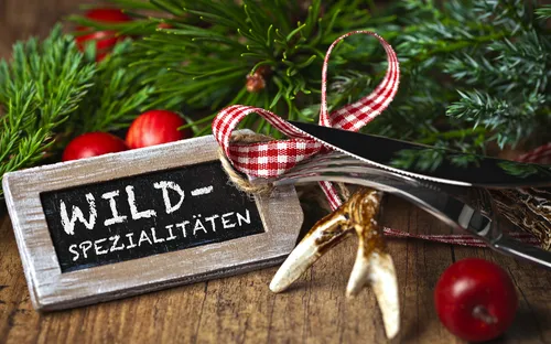 Das Wild(e) Schiff Breisach 