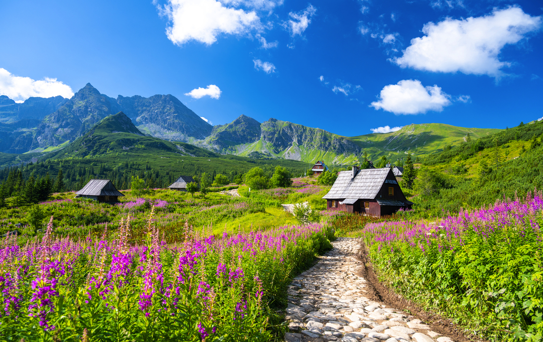 Tatra-Gebirge und Holzhütten nahe Zakopane