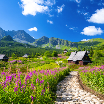 Tatra-Gebirge und Holzhütten nahe Zakopane - © lukaszimilena - stock.adobe.com