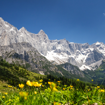 Blick zur Dachstein-Südwand - © Coen Weesjes - stock.adobe.com