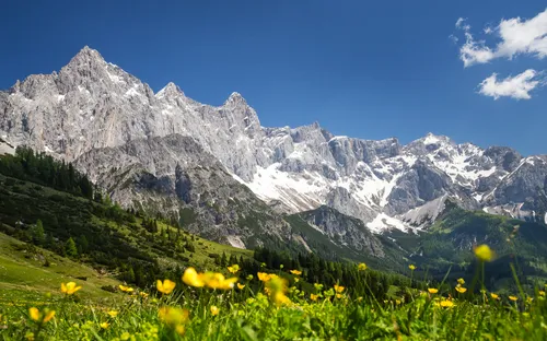 Maria Alm