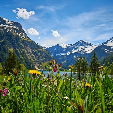 Vilsalpsee im Tannheimer Tal mit Blumenwies und Bergkulise im Frühling
