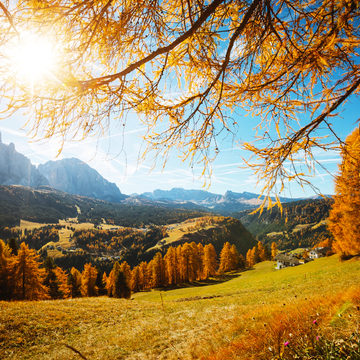 Herbstlandschaft in Gröden - © Leonid Tit - stock.adobe.com