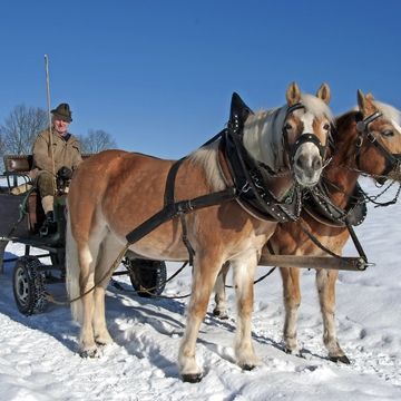Pferdekutsche im Winter - © mma23 - Fotolia