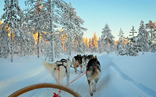 Nordlichtzauber über Lappland