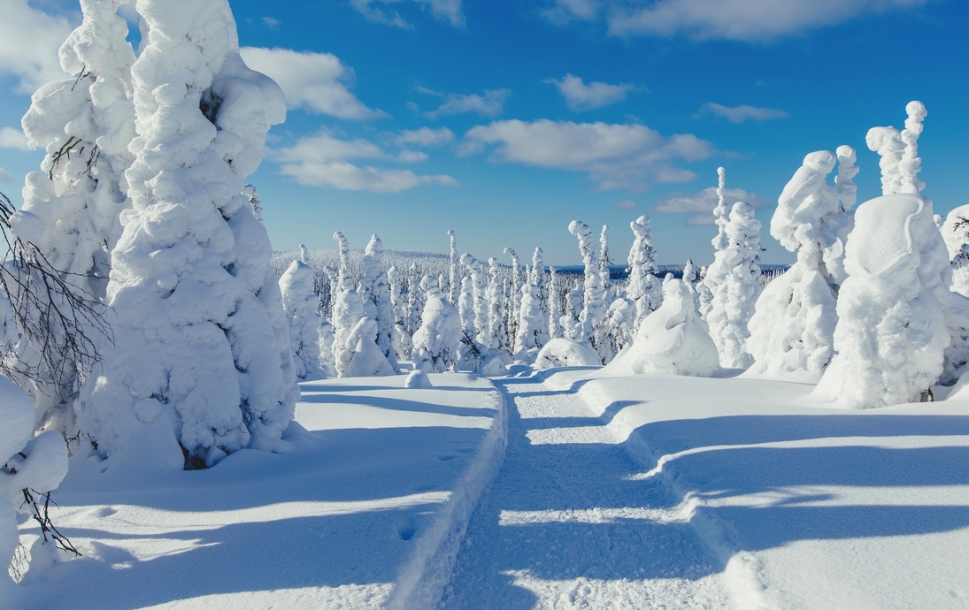 verschneite Winterlandschaft in Lappland